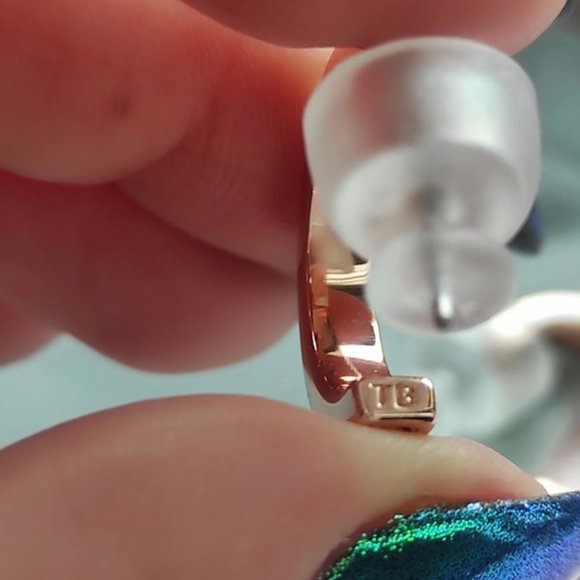 NEW Ted Baker Seanna Crystal Small Hoop Earrings - Picture 11 of 11